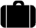 Aenean fermen